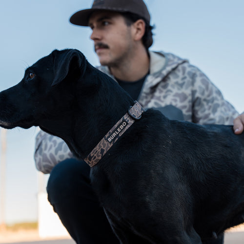 Man with a black dog wearing a leopard print collar outdoors