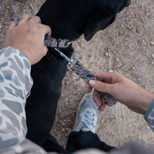 Person adjusting a dog's collar with a patterned leash on a gravel surface