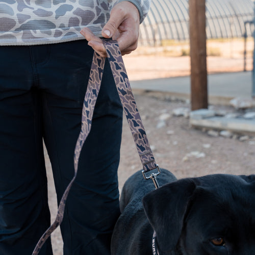 Person holding a leopard print dog leash with a black dog in an outdoor setting
